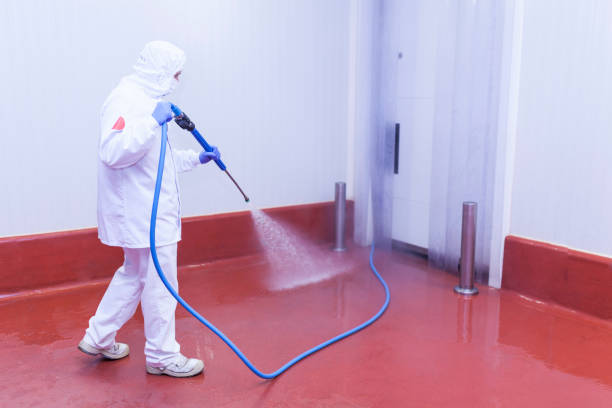 Professional Pressure Washing Services in Tonawanda, NY